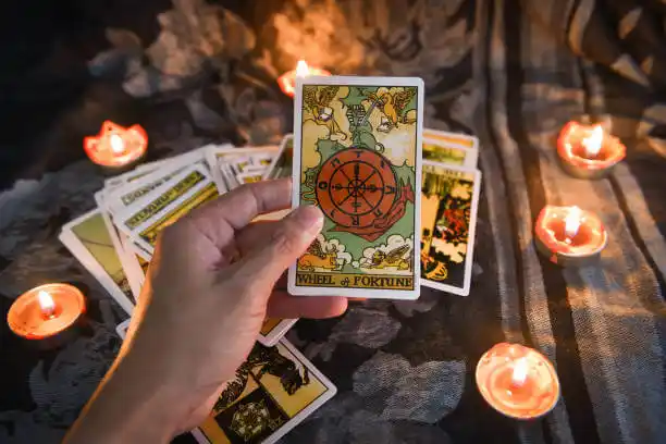 tarot cards McGill